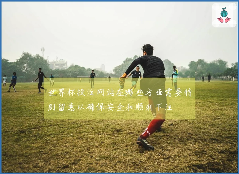 世界杯投注网站在哪些方面需要特别留意以确保安全和顺利下注