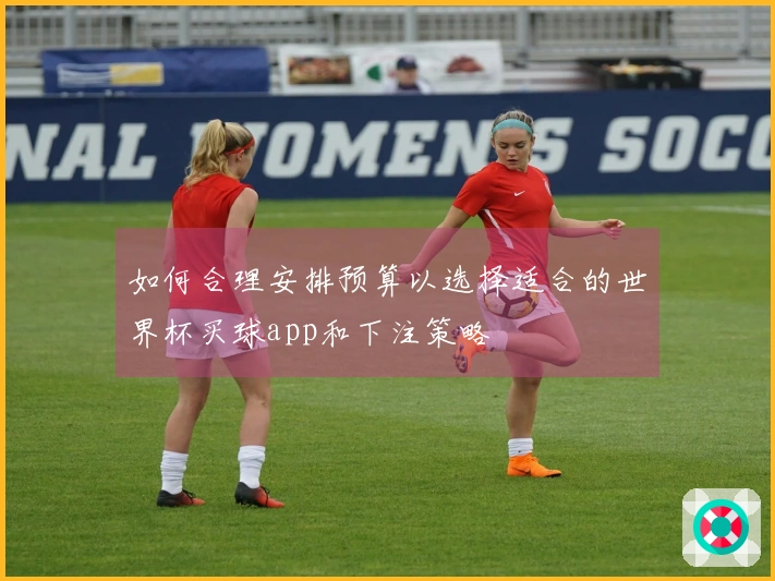如何合理安排预算以选择适合的世界杯买球app和下注策略