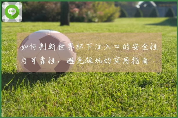 如何判断世界杯下注入口的安全性与可靠性，避免踩坑的实用指南