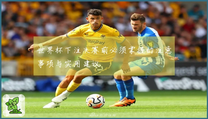 世界杯下注决赛前必须掌握的注意事项与实用建议