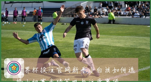 世界杯投注官网新手小白该如何选择小组赛竞猜策略与注意事项
