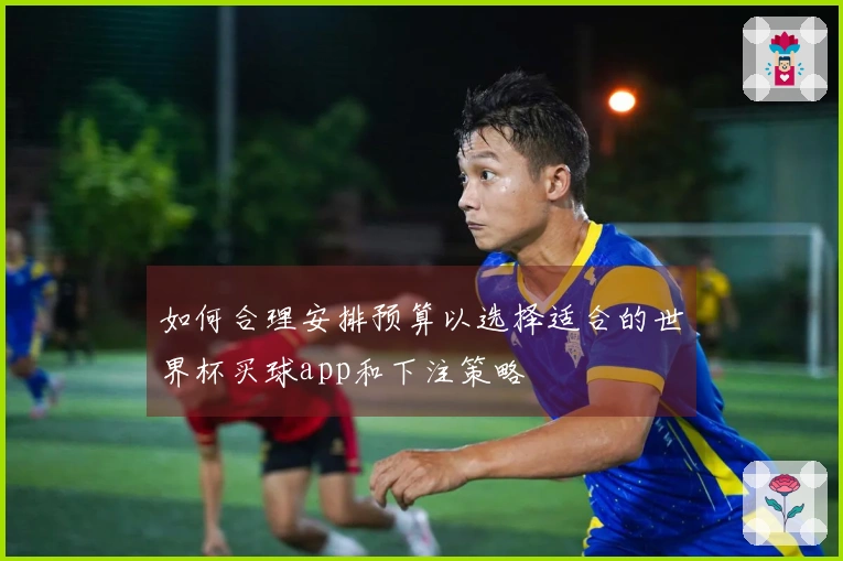 如何合理安排预算以选择适合的世界杯买球app和下注策略