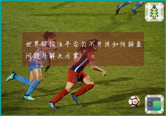 世界杯投注平台打不开该如何排查问题与解决方案
