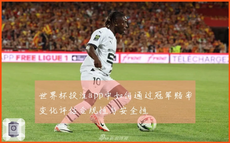 世界杯投注app中如何通过冠军赔率变化评估合规性与安全性