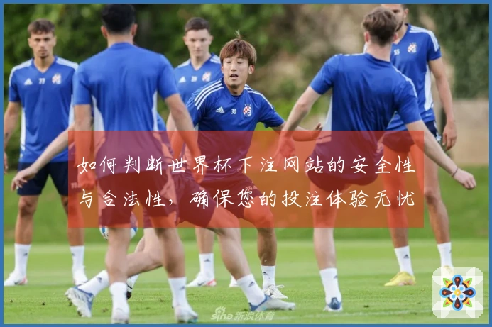 如何判断世界杯下注网站的安全性与合法性，确保您的投注体验无忧