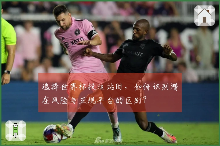 选择世界杯投注站时，如何识别潜在风险与正规平台的区别？