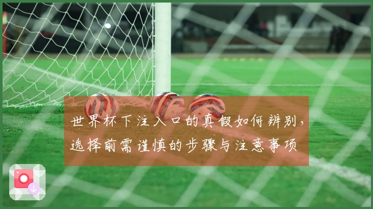 世界杯下注入口的真假如何辨别，选择前需谨慎的步骤与注意事项
