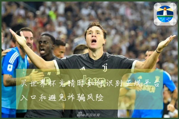买世界杯竞猜时如何识别正规平台入口和避免诈骗风险