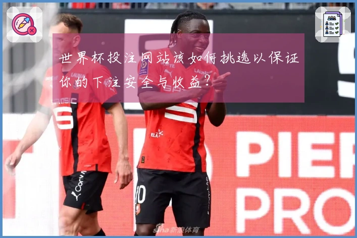 世界杯投注网站该如何挑选以保证你的下注安全与收益？