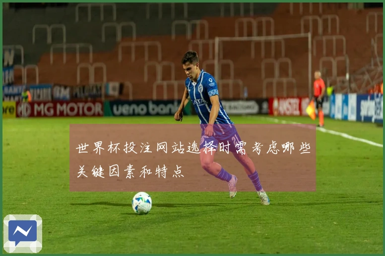 世界杯投注网站选择时需考虑哪些关键因素和特点