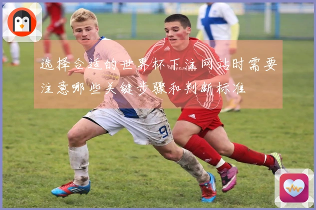 选择合适的世界杯下注网站时需要注意哪些关键步骤和判断标准