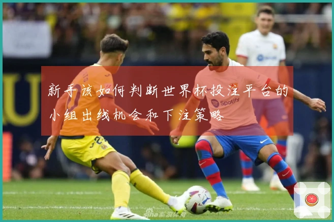 新手该如何判断世界杯投注平台的小组出线机会和下注策略