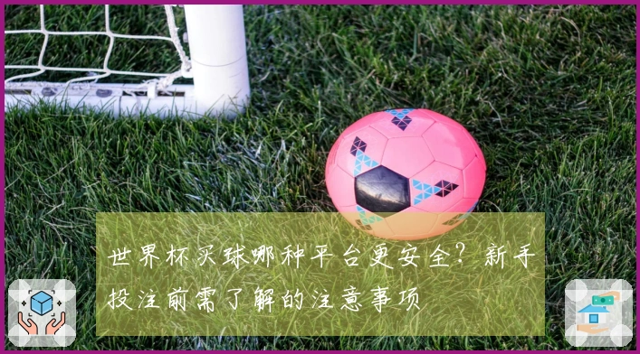 世界杯买球哪种平台更安全?新手投注前需了解的注意事项