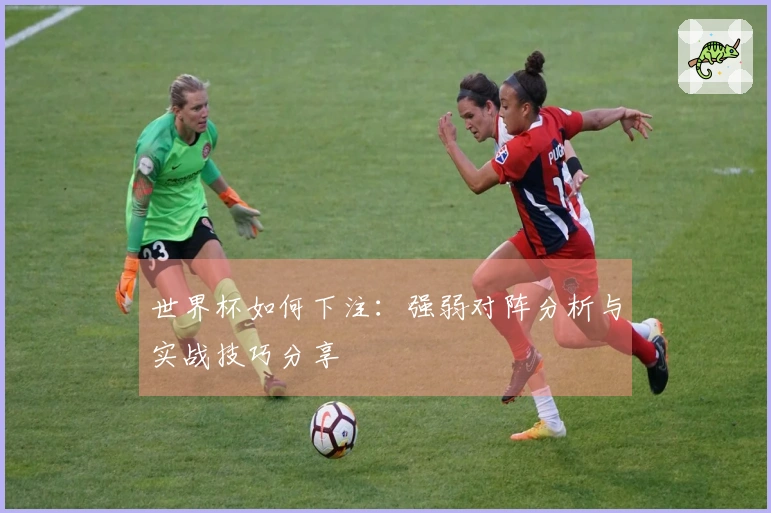 世界杯如何下注：强弱对阵分析与实战技巧分享