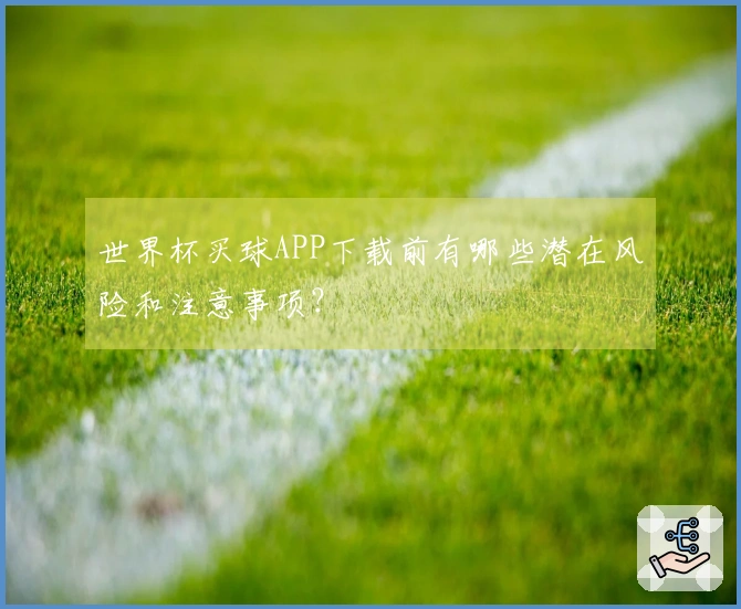 世界杯买球APP下载前有哪些潜在风险和注意事项？