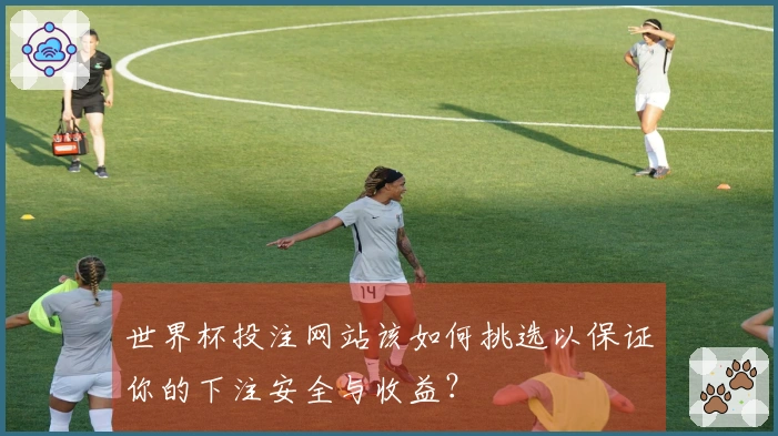世界杯投注网站该如何挑选以保证你的下注安全与收益？
