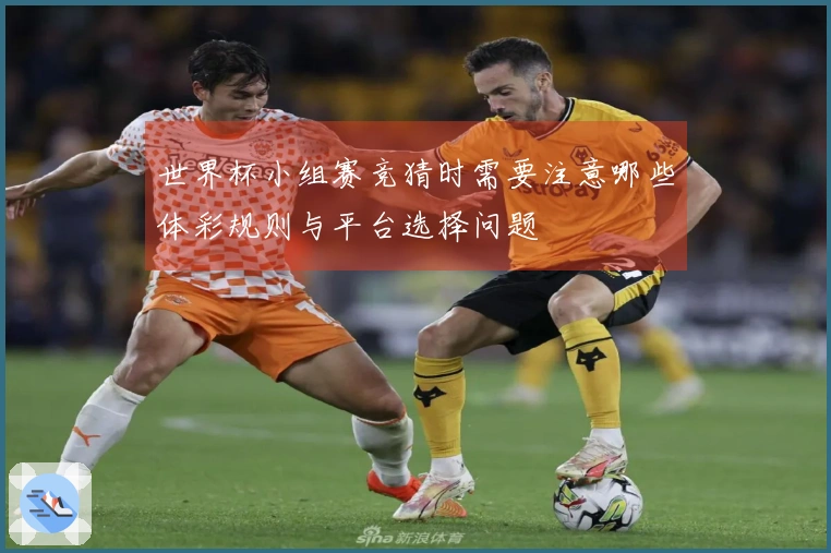 世界杯小组赛竞猜时需要注意哪些体彩规则与平台选择问题