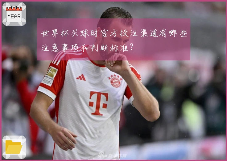 世界杯买球时官方投注渠道有哪些注意事项和判断标准？