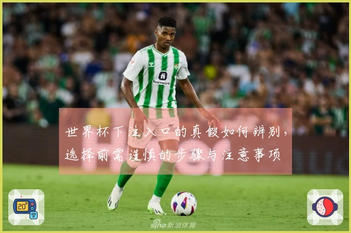 世界杯下注入口的真假如何辨别，选择前需谨慎的步骤与注意事项