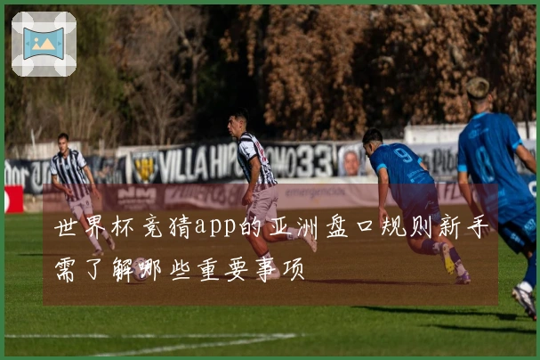 世界杯竞猜app的亚洲盘口规则新手需了解哪些重要事项