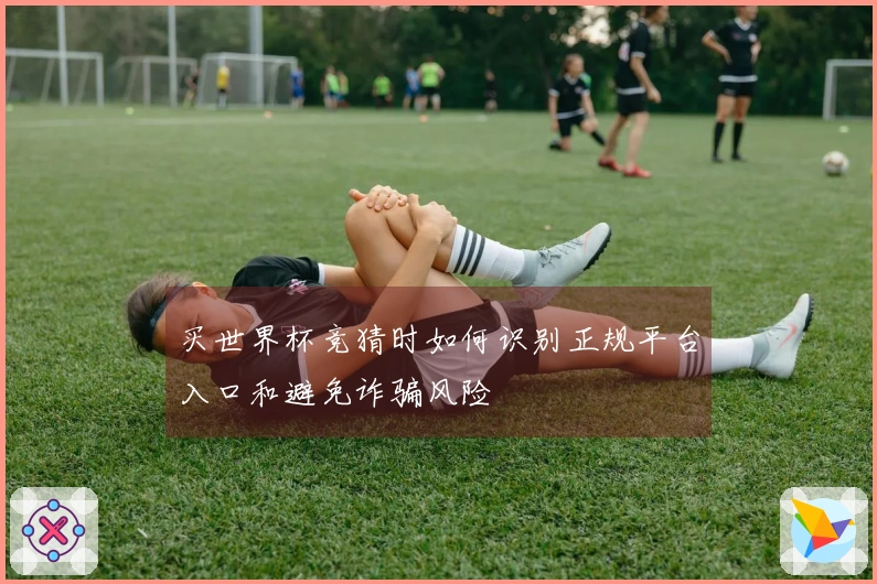 买世界杯竞猜时如何识别正规平台入口和避免诈骗风险