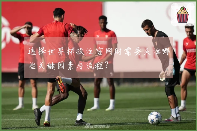 选择世界杯投注官网时需要关注哪些关键因素与流程？