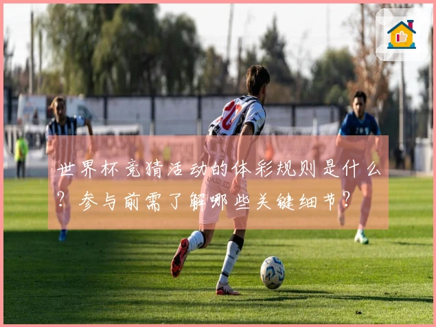 世界杯竞猜活动的体彩规则是什么？参与前需了解哪些关键细节？