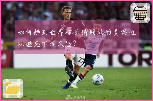 如何辨别世界杯竞猜网站的真实性以避免下注风险？